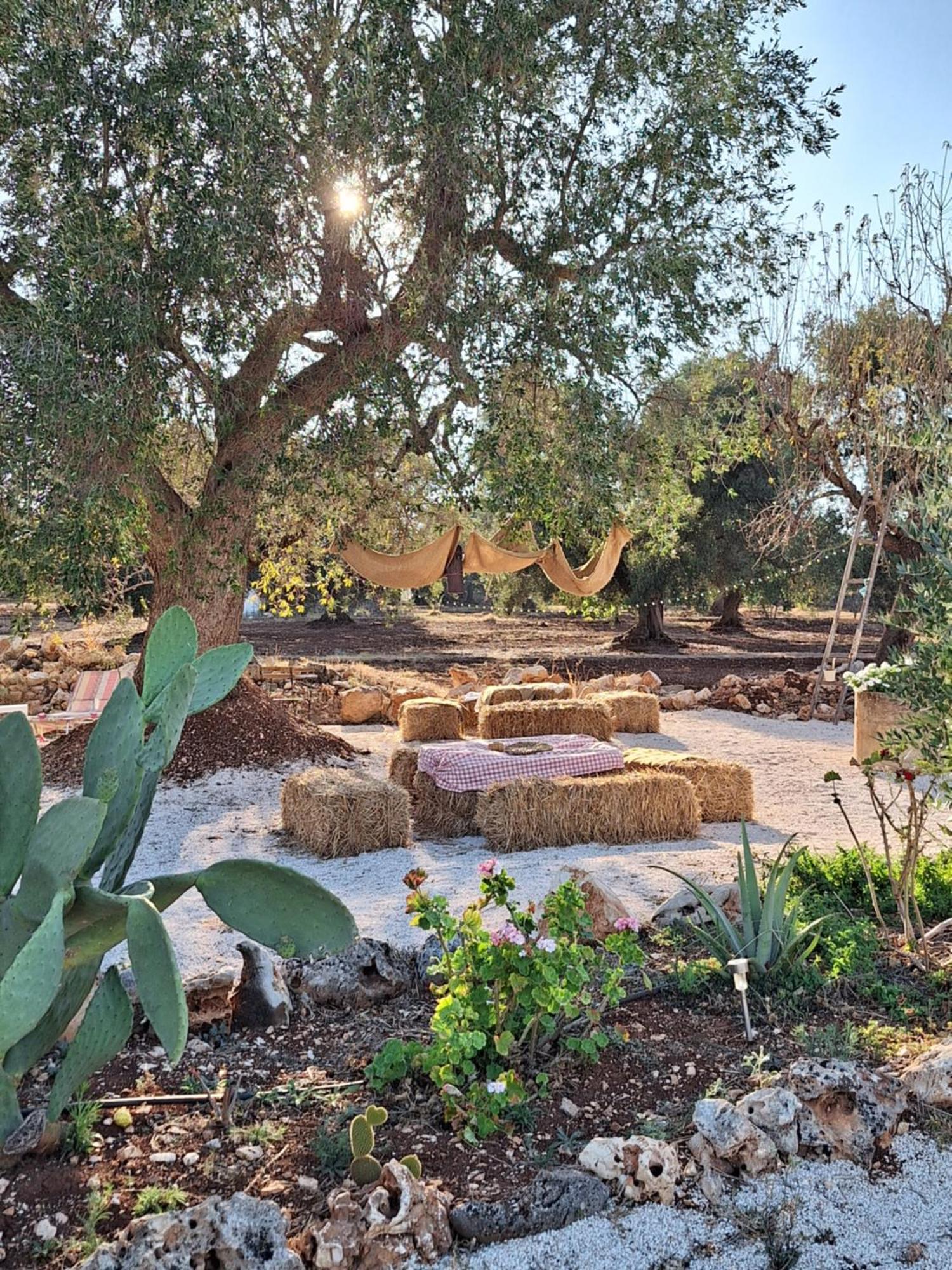 Residenza Anima Mediterranea フランカヴィッラ・フォンターナ エクステリア 写真
