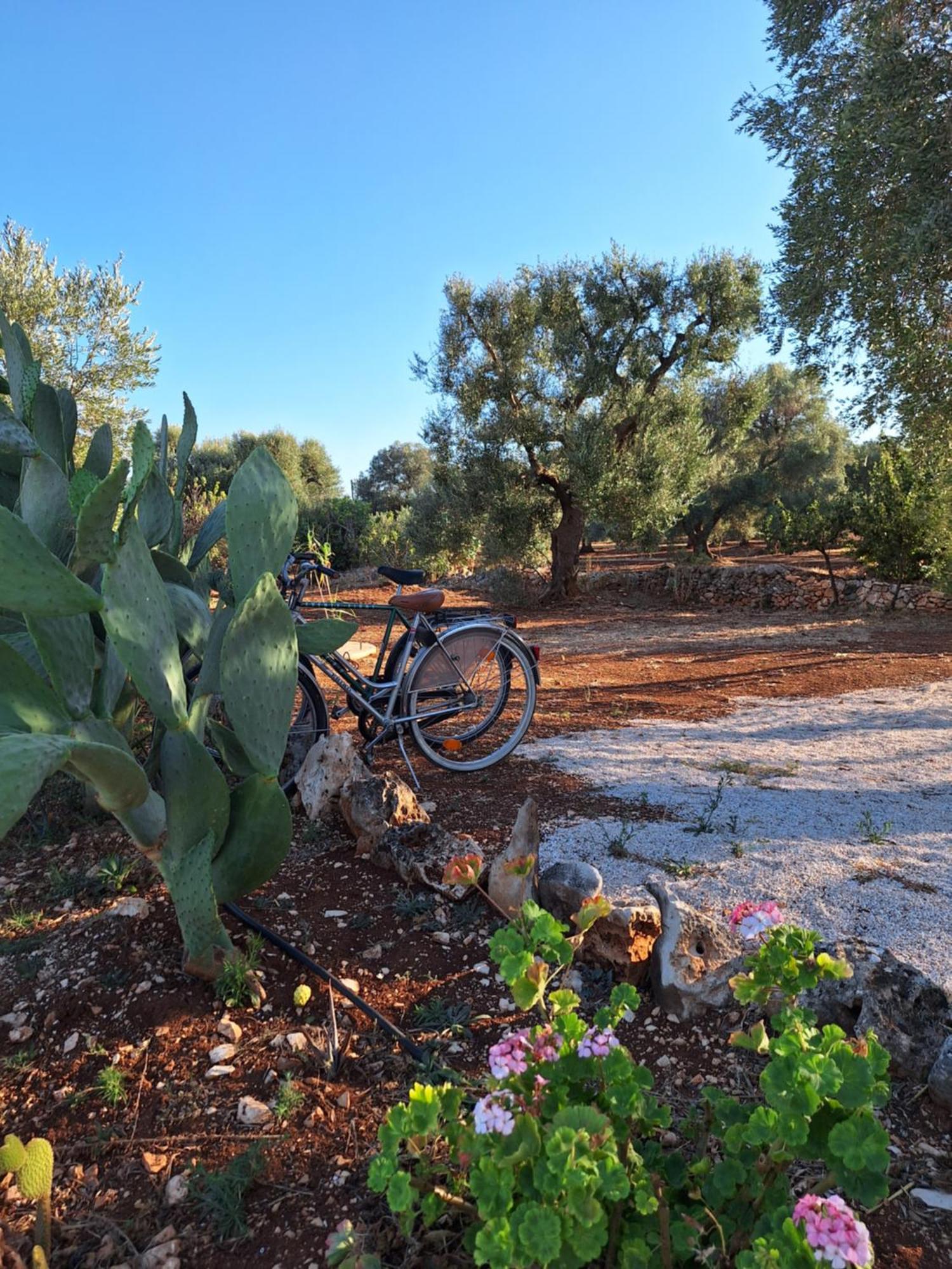Residenza Anima Mediterranea フランカヴィッラ・フォンターナ エクステリア 写真